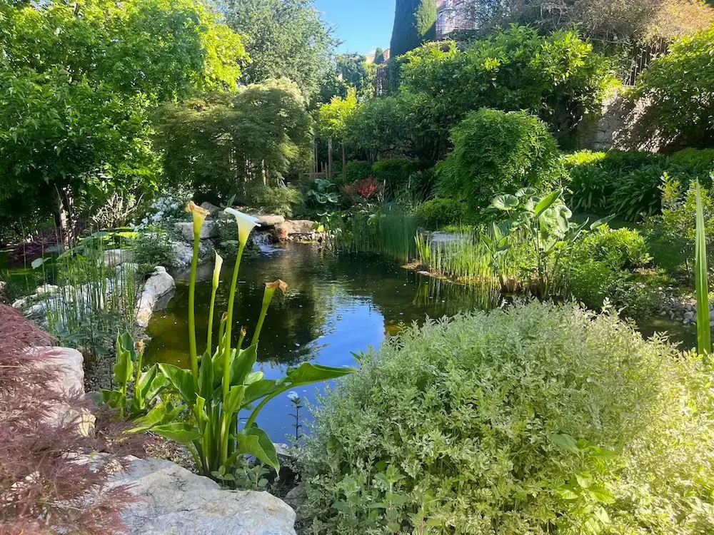 Jardin et bassin réalisés par ADN Paysage